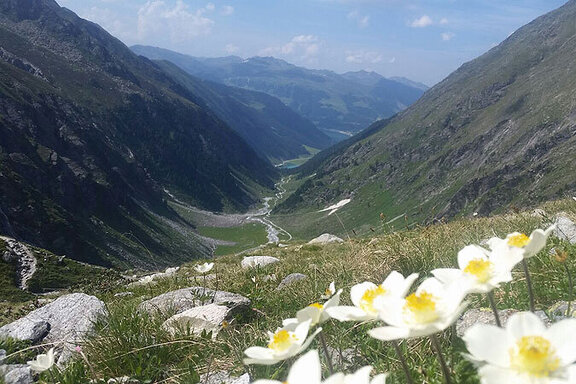 Aufstieg zur Zittauer Hütte
